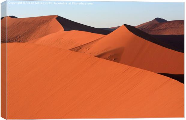  Shapes In The Desert  Canvas Print by Aidan Moran