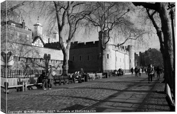 Tower Of London, England  Canvas Print by Aidan Moran