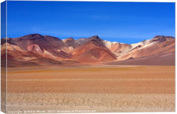 Bolivian Altiplano   Canvas Print by Aidan Moran
