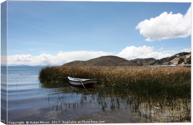 Lake Titicaca, Bolivia  Canvas Print by Aidan Moran