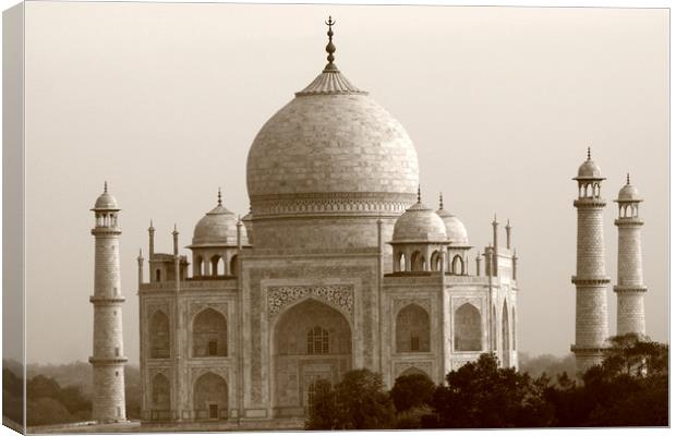Taj Mahal, Agra, India  Canvas Print by Aidan Moran