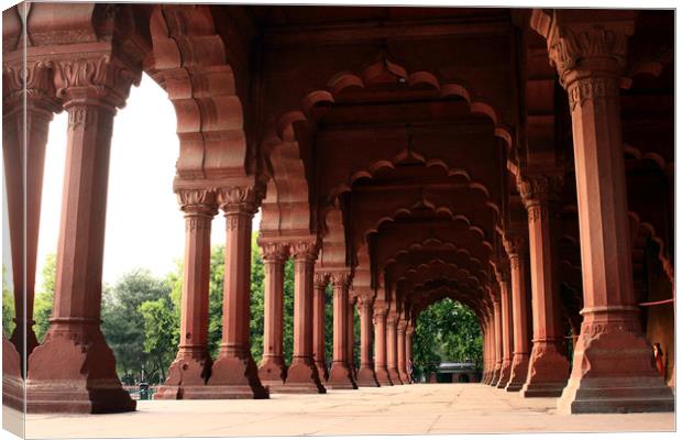 Engrailed Arches, Red Fort, New Delhi Canvas Print by Aidan Moran