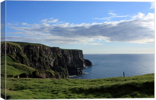 Cliffs of Moher, The Burren, Ireland  Canvas Print by Aidan Moran