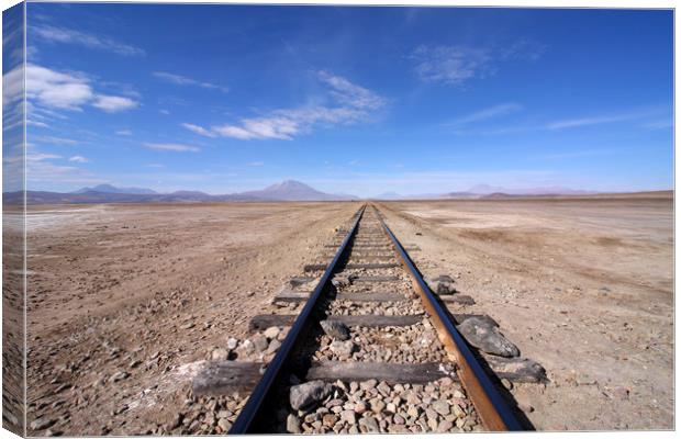 Train Tracks In The Desert  Canvas Print by Aidan Moran