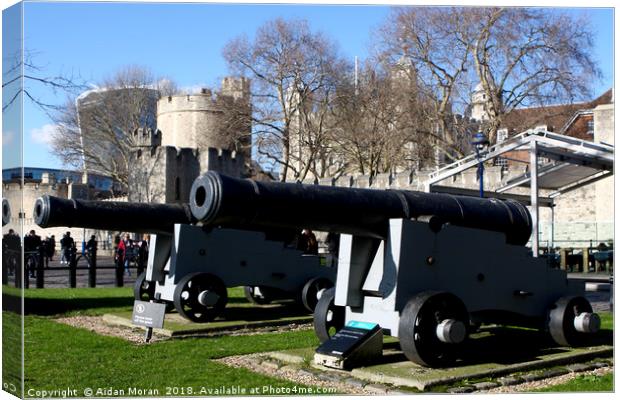 Big Guns at the Tower of London  Canvas Print by Aidan Moran