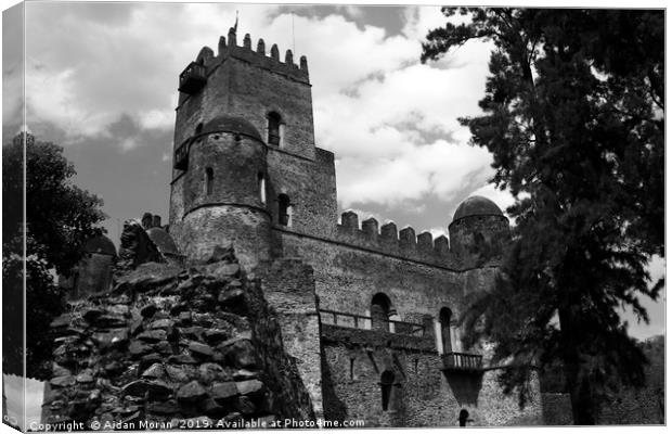 Fasilides Castle, Gondar, Ethiopia   Canvas Print by Aidan Moran