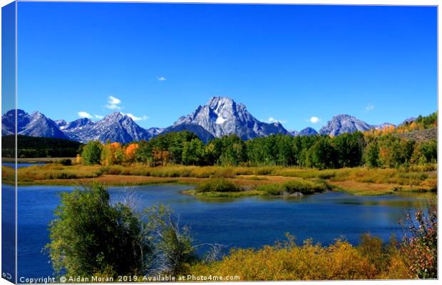 Mount Moran, Grand Tetons National Park, Wyoming  Canvas Print by Aidan Moran