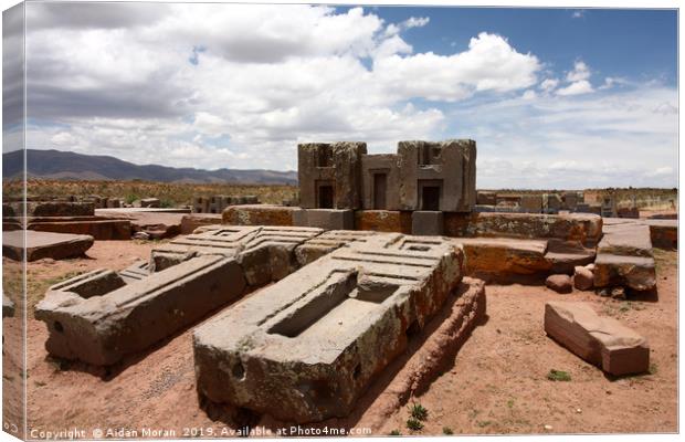 Puma Punku, Bolivia   Canvas Print by Aidan Moran