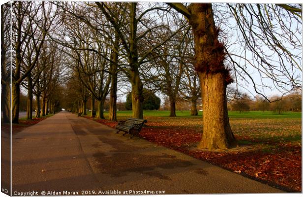 Enchanting Sunset in Historic Greenwich Park Canvas Print by Aidan Moran