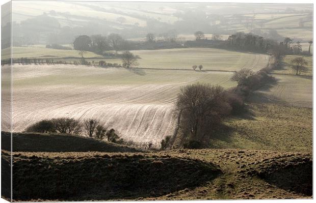 West from Eggardon Hill Canvas Print by Colin Tracy