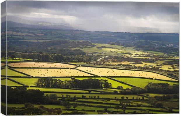 Sunshine and Showers, Dartmoor, Devon Canvas Print by Colin Tracy