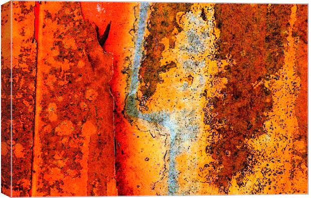 Rust Abstract Canvas Print by Colin Tracy