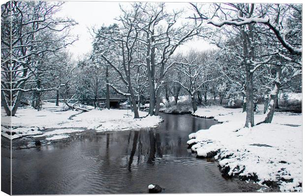 Snowy Puttles Bridge, New Forest Canvas Print by Colin Tracy