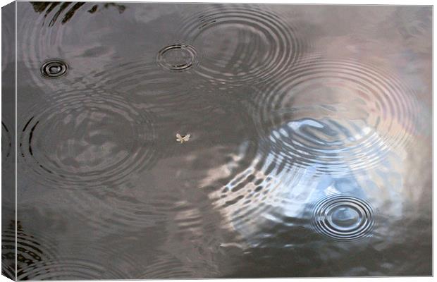  Rain Patterns on Surface of Pond Canvas Print by Colin Tracy