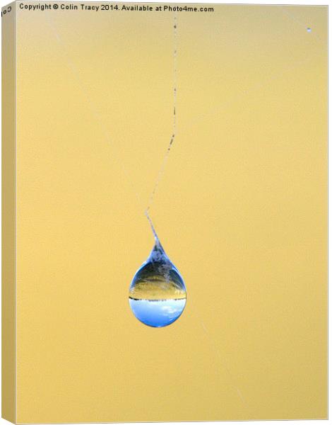 Water drop on Spider's Web Canvas Print by Colin Tracy