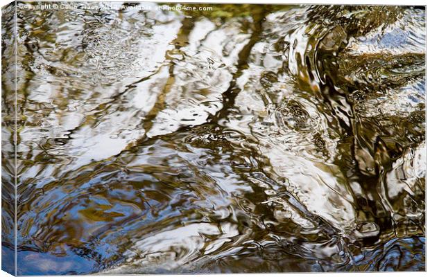  Water Pattern Canvas Print by Colin Tracy