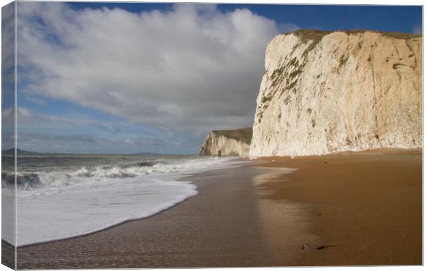Chalk Cliffs of Durdle Door Beach, Dorset Canvas Print by Colin Tracy