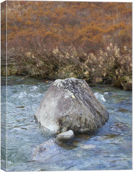 Rocks and River Canvas Print by Colin Tracy