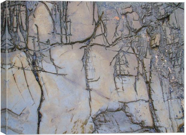 Kimmeridge Rocks 1 Canvas Print by Colin Tracy