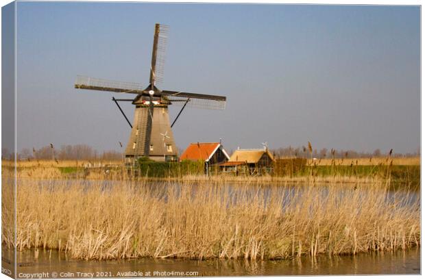 Windmill in Kinderdijk,  Holland Canvas Print by Colin Tracy