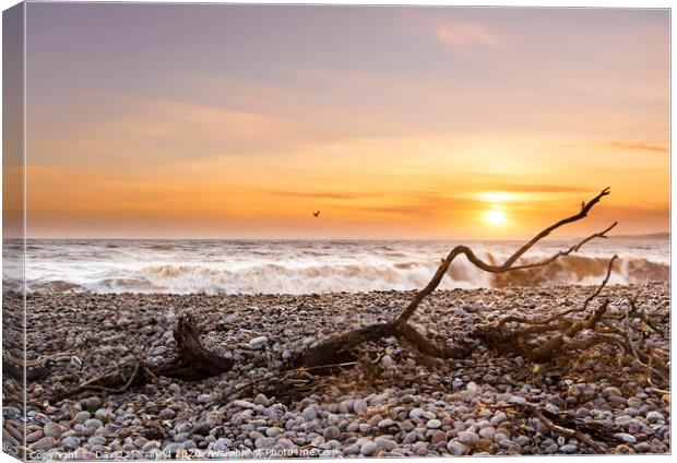 After the Storm - Budleigh Salterton Canvas Print by David Merrifield