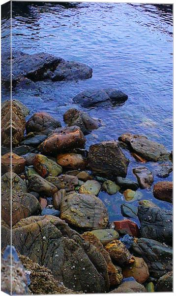Tranquility in colour Canvas Print by kris ohlsson