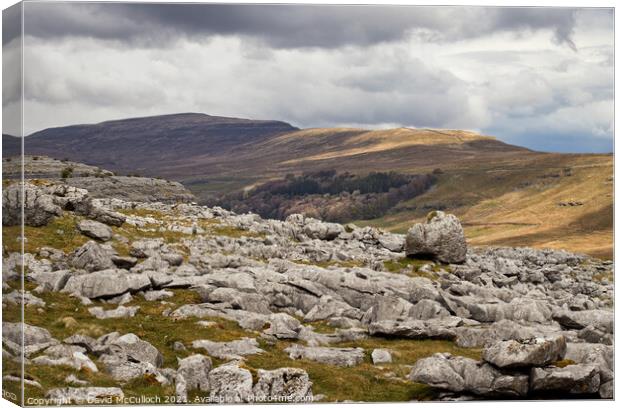 Tow Scar Vista Canvas Print by David McCulloch