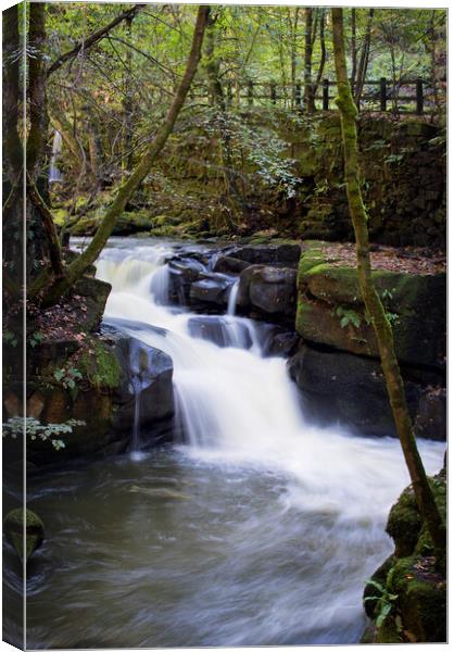 Healey Dell Canvas Print by David McCulloch