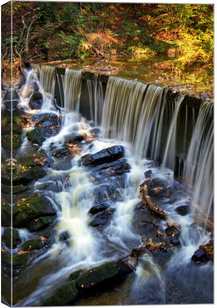 Autumn above the weir Canvas Print by David McCulloch