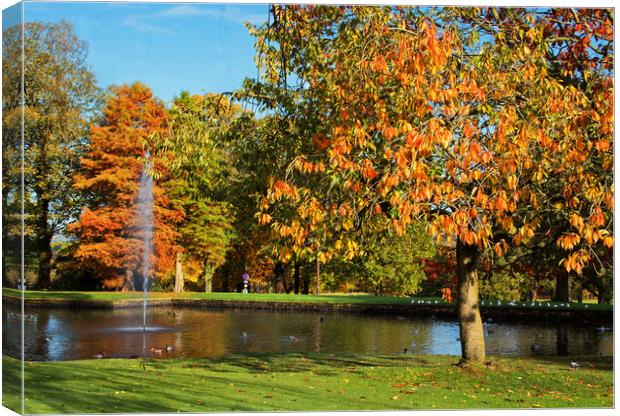 Autumn by the fountain Canvas Print by David McCulloch