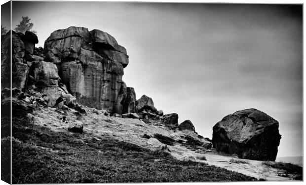 Cow and Calf rocks Canvas Print by David McCulloch