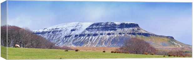 Pen y Ghent Panorama Canvas Print by David McCulloch