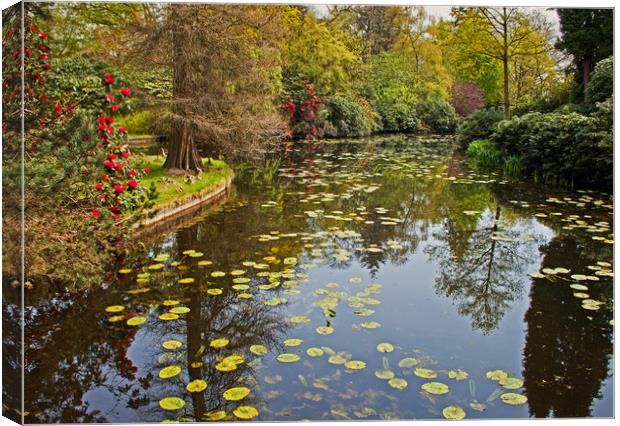 Lakeside Gardens Canvas Print by David McCulloch