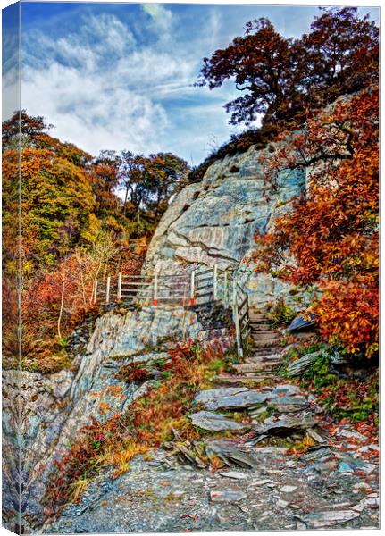Autumn's Pastel Shades Canvas Print by David McCulloch