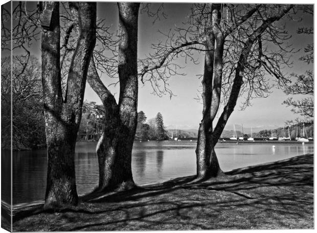 Lakeside Canvas Print by David McCulloch