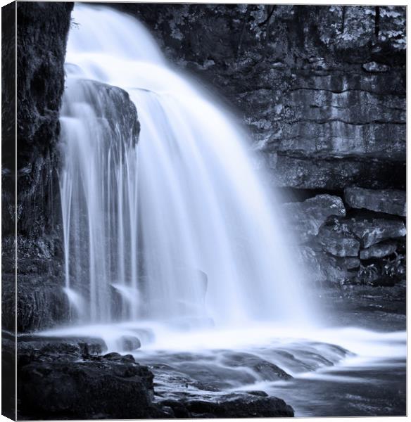 The force of Cauldron Falls Canvas Print by David McCulloch