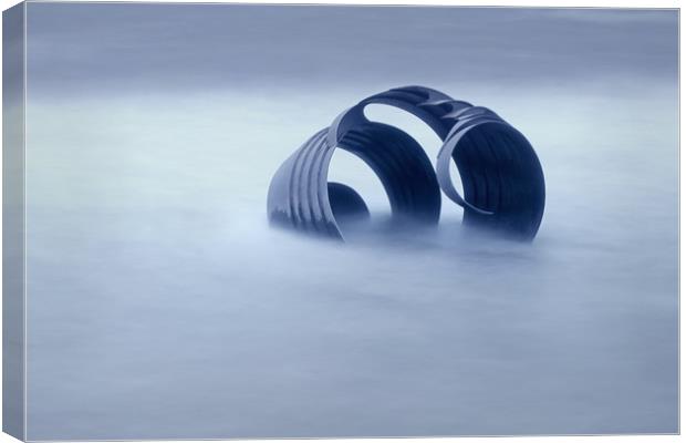 The dreamy shell Canvas Print by David McCulloch