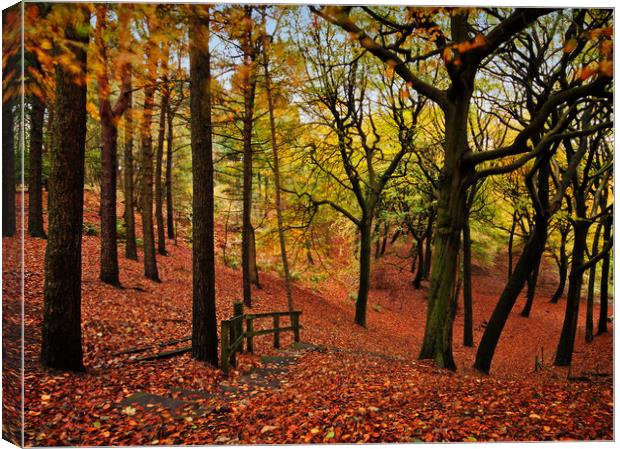 The stepped autumn pathway Canvas Print by David McCulloch