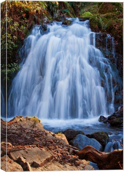 The Secluded Waterfall Canvas Print by David McCulloch