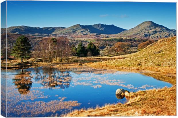 The restful tarn Canvas Print by David McCulloch