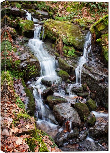 gently cascading Canvas Print by David McCulloch