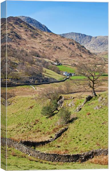 Langdales in portrait Canvas Print by David McCulloch