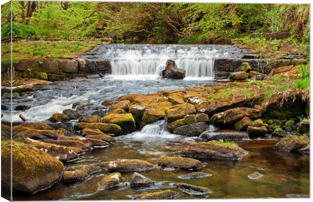 Hebden Beck Canvas Print by David McCulloch
