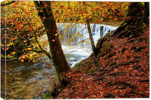 Autumn by the weir Canvas Print by David McCulloch