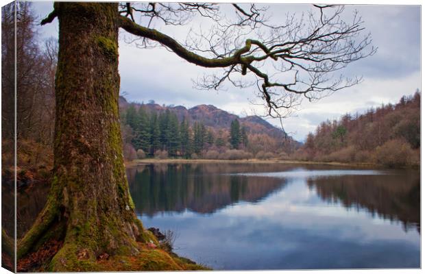 Yew Tree Tarn in autumn Canvas Print by David McCulloch