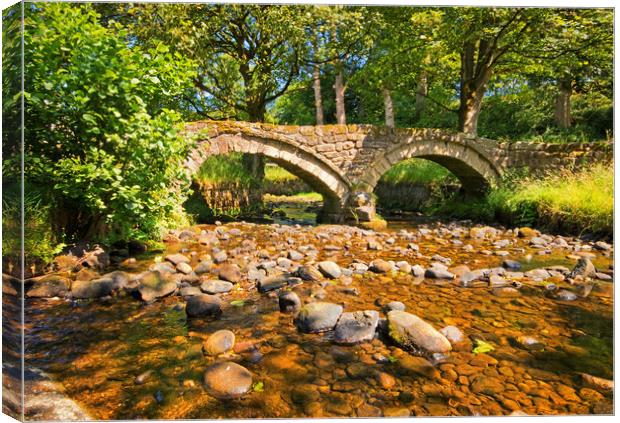 The Pack Horse Bridge Canvas Print by David McCulloch