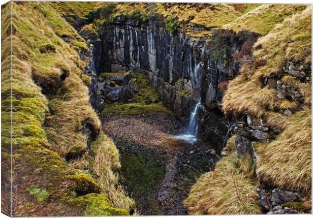 Hull Pot Waterfall Canvas Print by David McCulloch