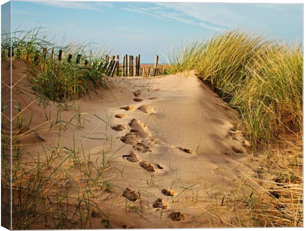 Footprints in the Sand Canvas Print by David McCulloch