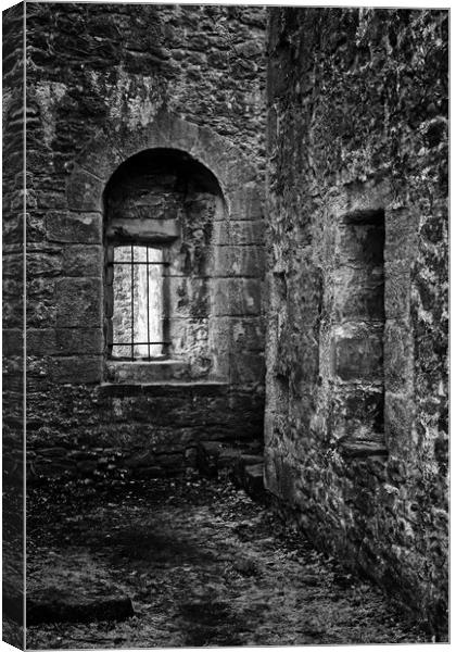 Nooks and Crannies Canvas Print by David McCulloch