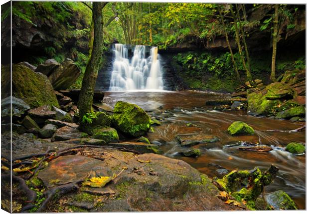 Goit Stock waterfall Canvas Print by David McCulloch